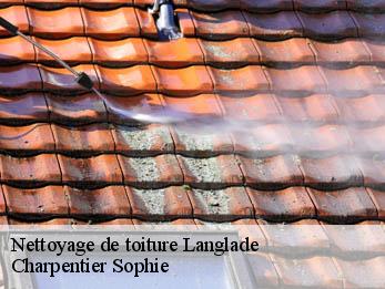Nettoyage de toiture