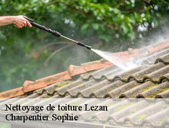 Nettoyage de toiture  lezan-30350 Charpentier Sophie