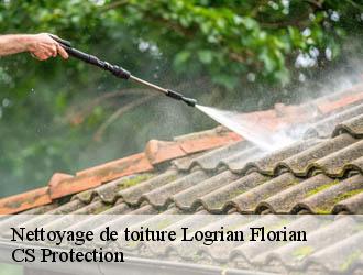 Nettoyage de toiture logrian-florian-30610 CS Protection