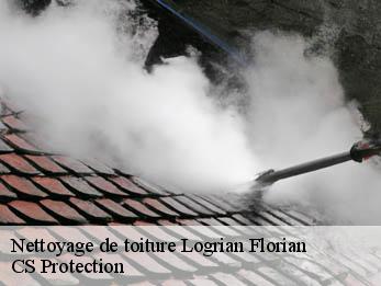 Nettoyage de toiture 30610