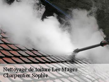 Nettoyage de toiture  30960