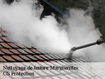 Nettoyage de toiture  30320