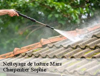 Nettoyage de toiture mars-30120 Charpentier Sophie