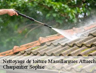 Nettoyage de toiture  massillargues-attuech-30140 Charpentier Sophie