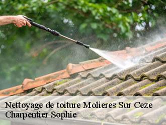 Nettoyage de toiture molieres-sur-ceze-30410 Charpentier Sophie