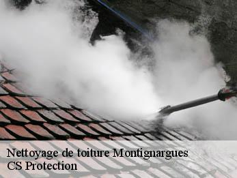 Nettoyage de toiture 30190