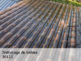 Nettoyage de toiture  30121