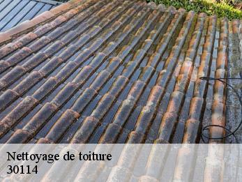 Nettoyage de toiture 30114