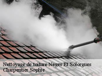 Nettoyage de toiture 30114