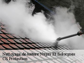 Nettoyage de toiture 30114