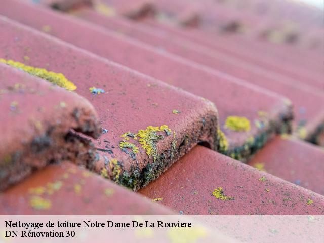 Nettoyage de toiture 30570