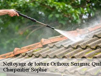 Nettoyage de toiture  orthoux-serignac-quilhan-30260 Charpentier Sophie
