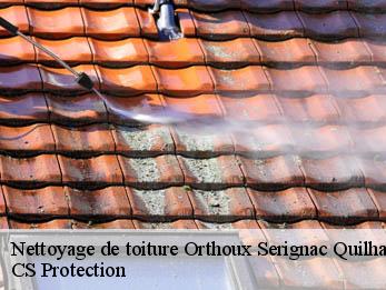 Nettoyage de toiture