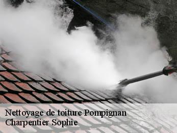 Nettoyage de toiture  30170