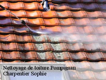 Nettoyage de toiture