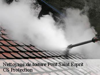 Nettoyage de toiture 30130