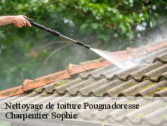Nettoyage de toiture  pougnadoresse-30330 Charpentier Sophie