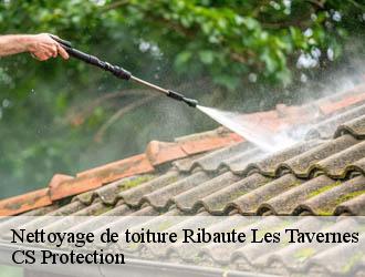 Nettoyage de toiture ribaute-les-tavernes-30720 CS Protection