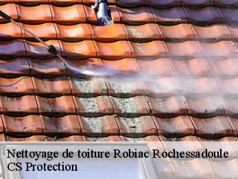 Nettoyage de toiture