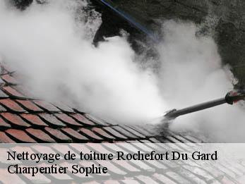 Nettoyage de toiture  30650