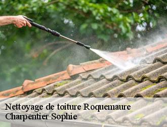 Nettoyage de toiture roquemaure-30150 Charpentier Sophie