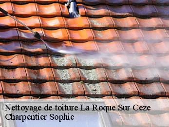 Nettoyage de toiture