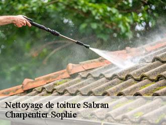 Nettoyage de toiture  sabran-30200 Charpentier Sophie