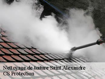 Nettoyage de toiture 30130