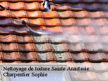 Nettoyage de toiture