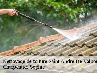 Nettoyage de toiture  saint-andre-de-valborgne-30940 Charpentier Sophie