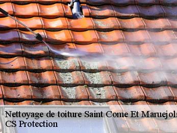 Nettoyage de toiture