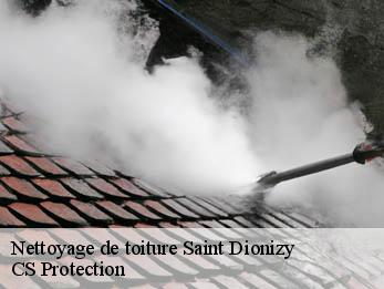 Nettoyage de toiture  30980