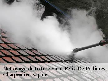 Nettoyage de toiture  30140