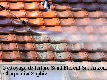 Nettoyage de toiture