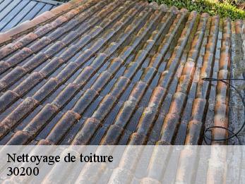 Nettoyage de toiture 30200