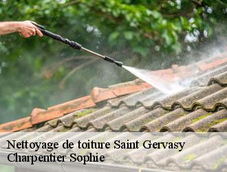 Nettoyage de toiture  saint-gervasy-30320 Charpentier Sophie