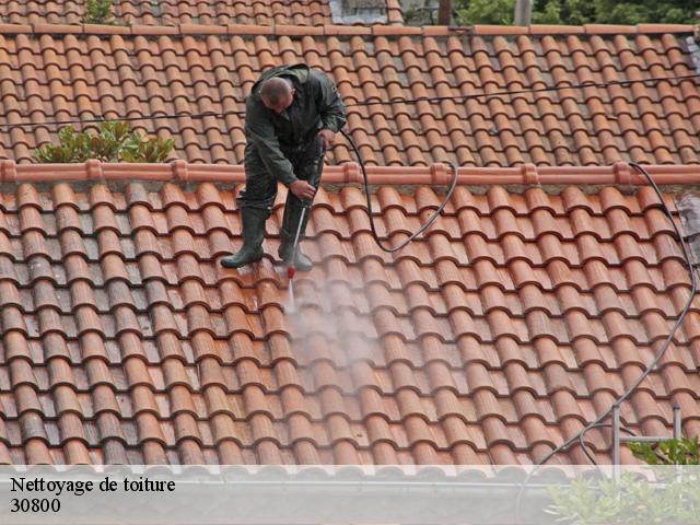 Nettoyage de toiture à Saint Gilles 30800 Tél :04.82.29.28.79