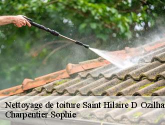 Nettoyage de toiture saint-hilaire-d-ozilhan-30210 Charpentier Sophie
