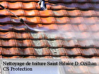 Nettoyage de toiture