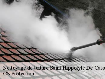 Nettoyage de toiture 30360