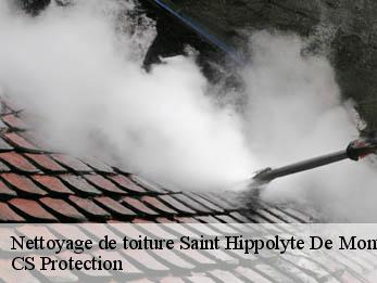 Nettoyage de toiture 30700