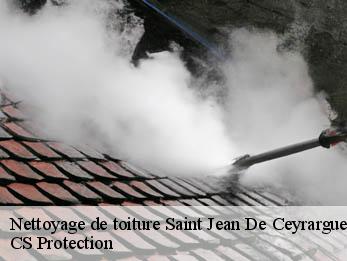 Nettoyage de toiture 30360