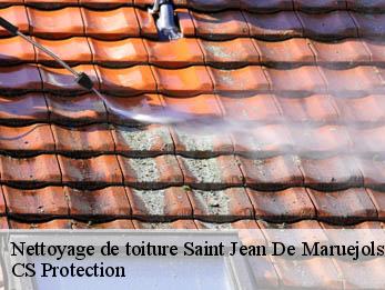 Nettoyage de toiture