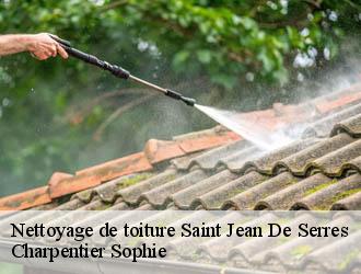 Nettoyage de toiture  saint-jean-de-serres-30350 Charpentier Sophie