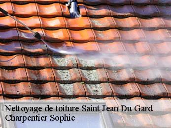 Nettoyage de toiture