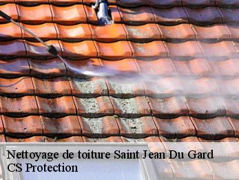 Nettoyage de toiture