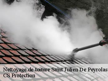 Nettoyage de toiture  30760