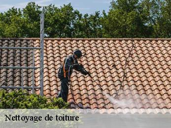 Nettoyage de toiture 30200