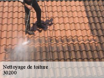 Nettoyage de toiture 30200