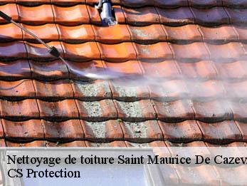 Nettoyage de toiture